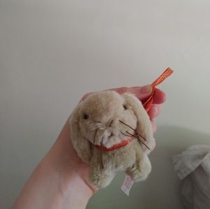 Lanie's Super Cute American Girl Bunny